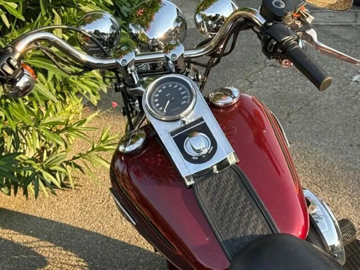 Harley-Davidson 1450 Heritage Springer (2000 - 03) - FLSTS (10)