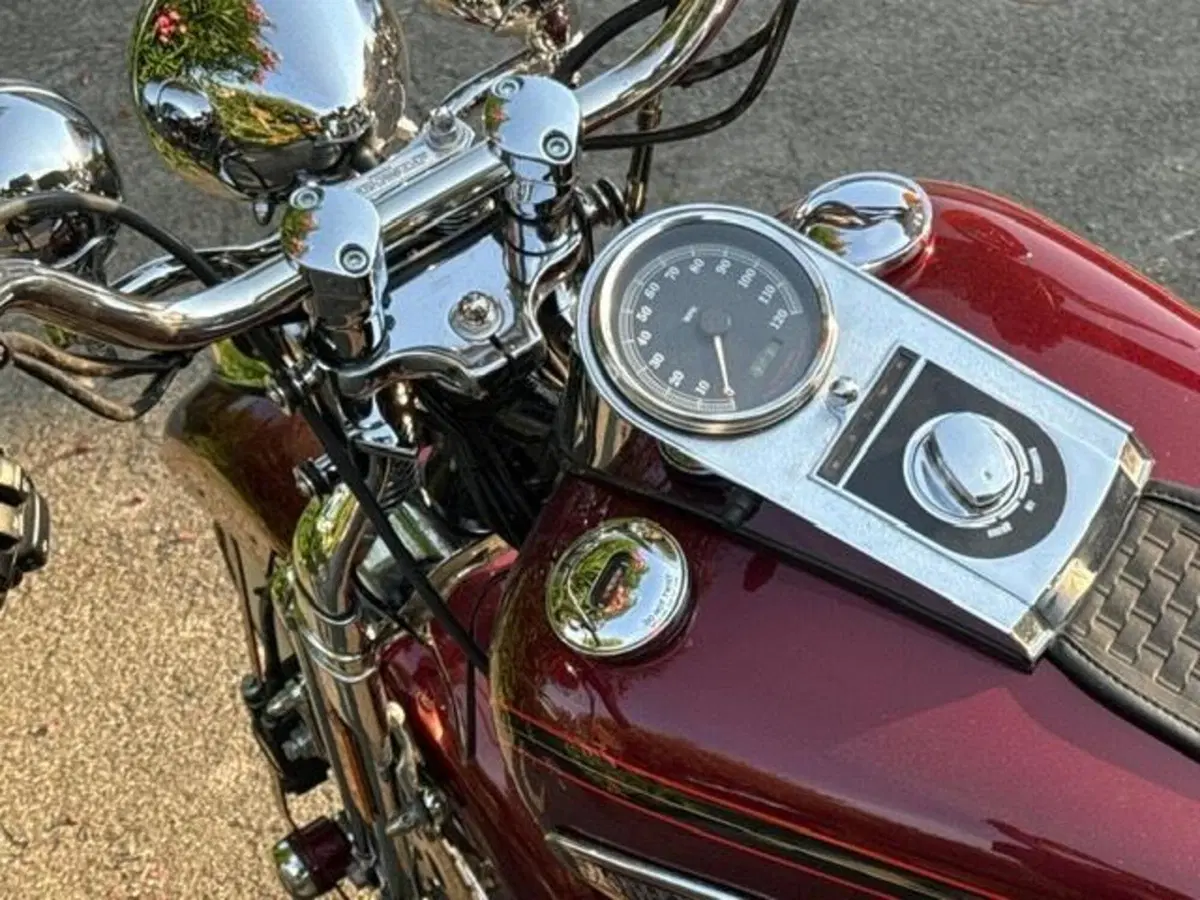 Harley-Davidson 1450 Heritage Springer (2000 - 03) - FLSTS (12)