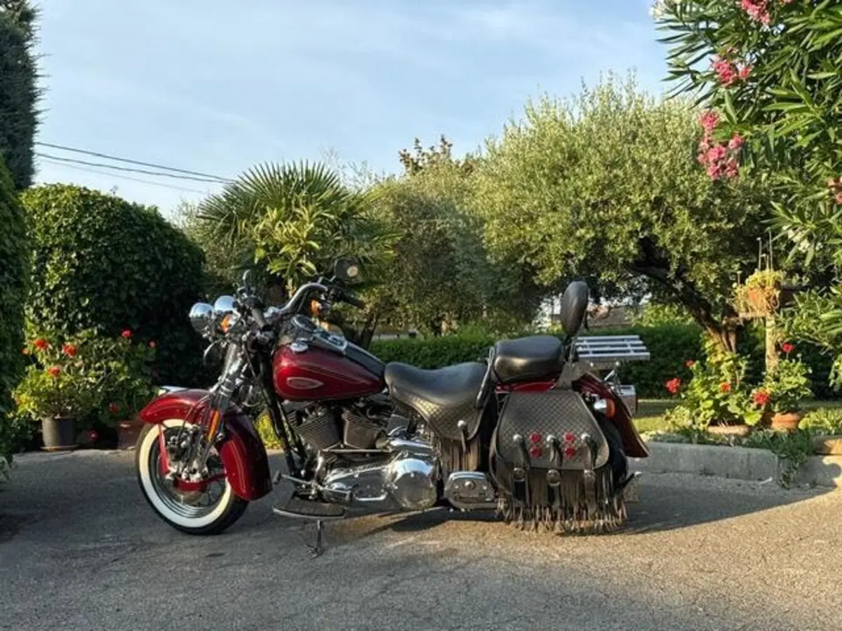 Harley-Davidson 1450 Heritage Springer (2000 - 03) - FLSTS (14)