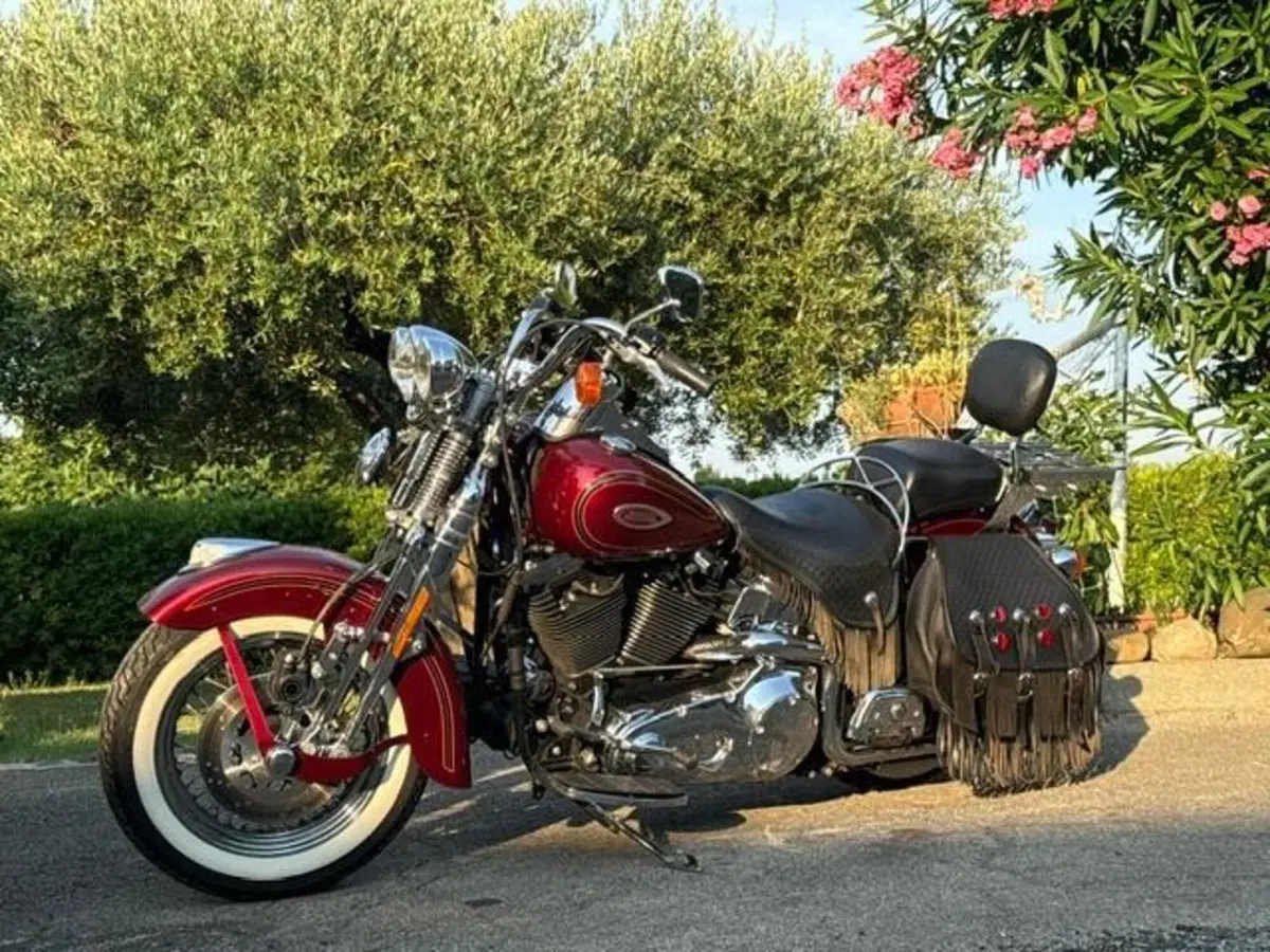 Harley-Davidson 1450 Heritage Springer (2000 - 03) - FLSTS (15)
