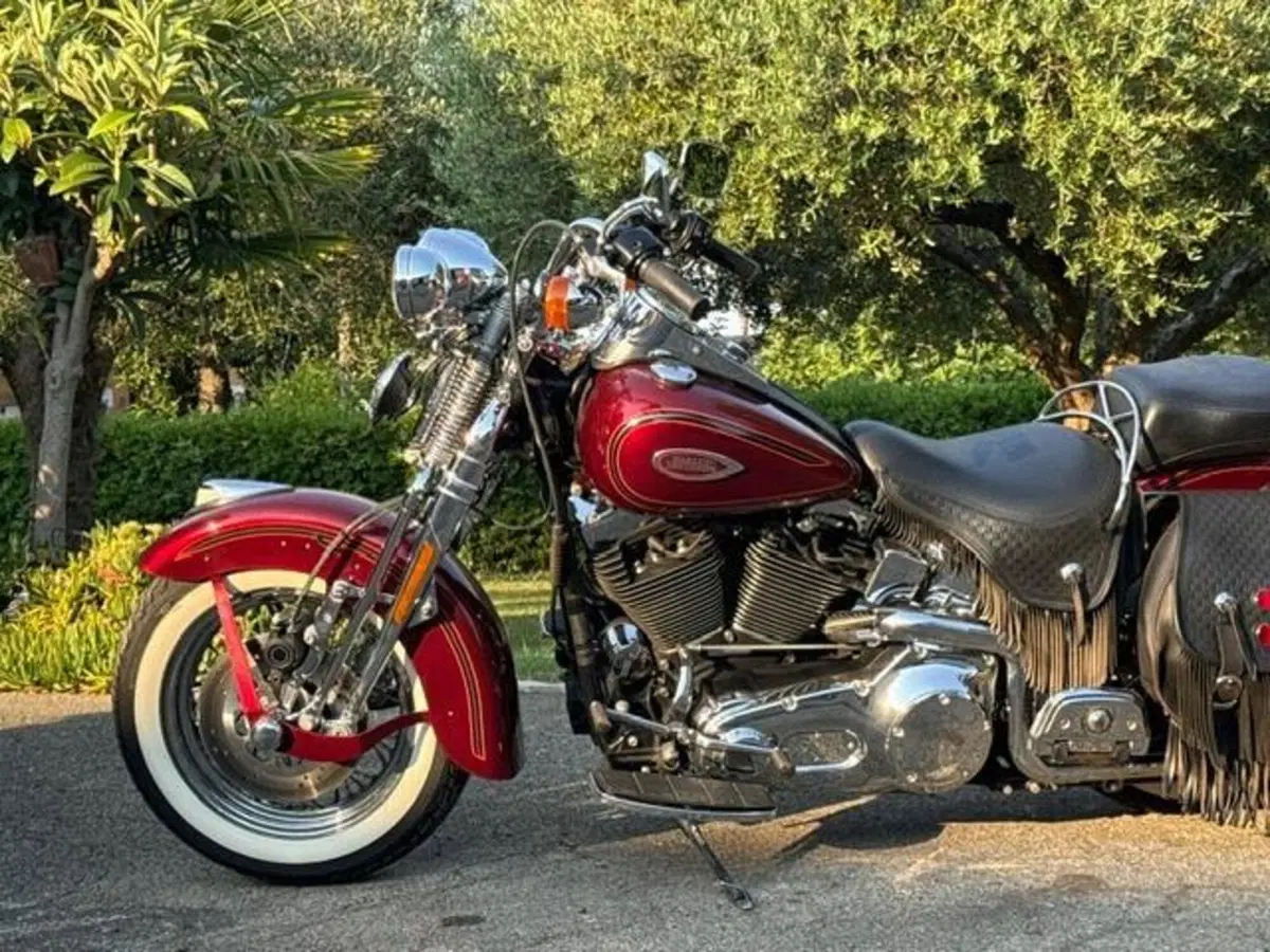 Harley-Davidson 1450 Heritage Springer (2000 - 03) - FLSTS (16)