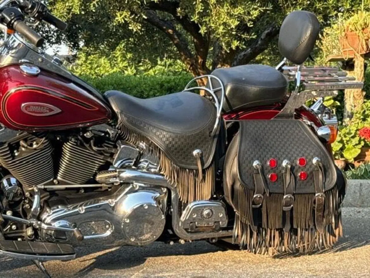 Harley-Davidson 1450 Heritage Springer (2000 - 03) - FLSTS (17)