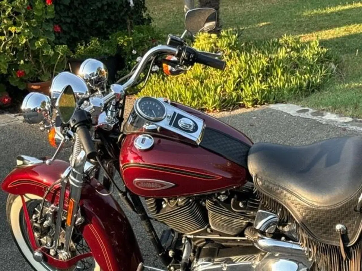 Harley-Davidson 1450 Heritage Springer (2000 - 03) - FLSTS (19)