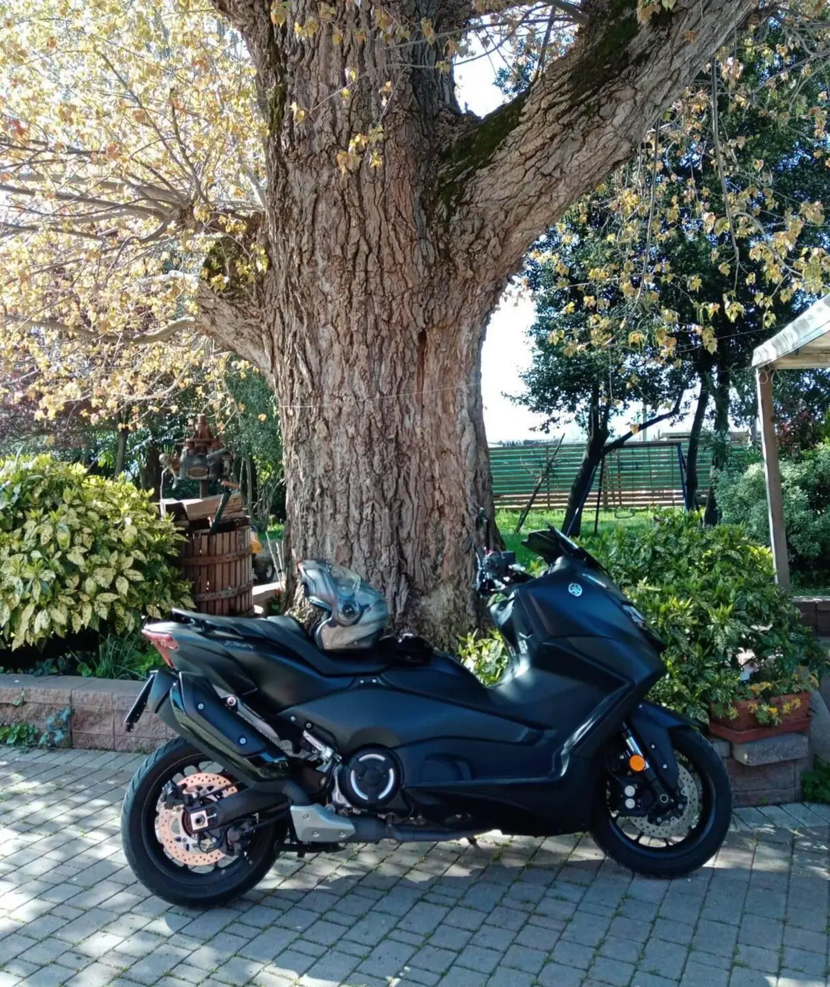 Yamaha T-Max 560 (2022 - 24) (3)