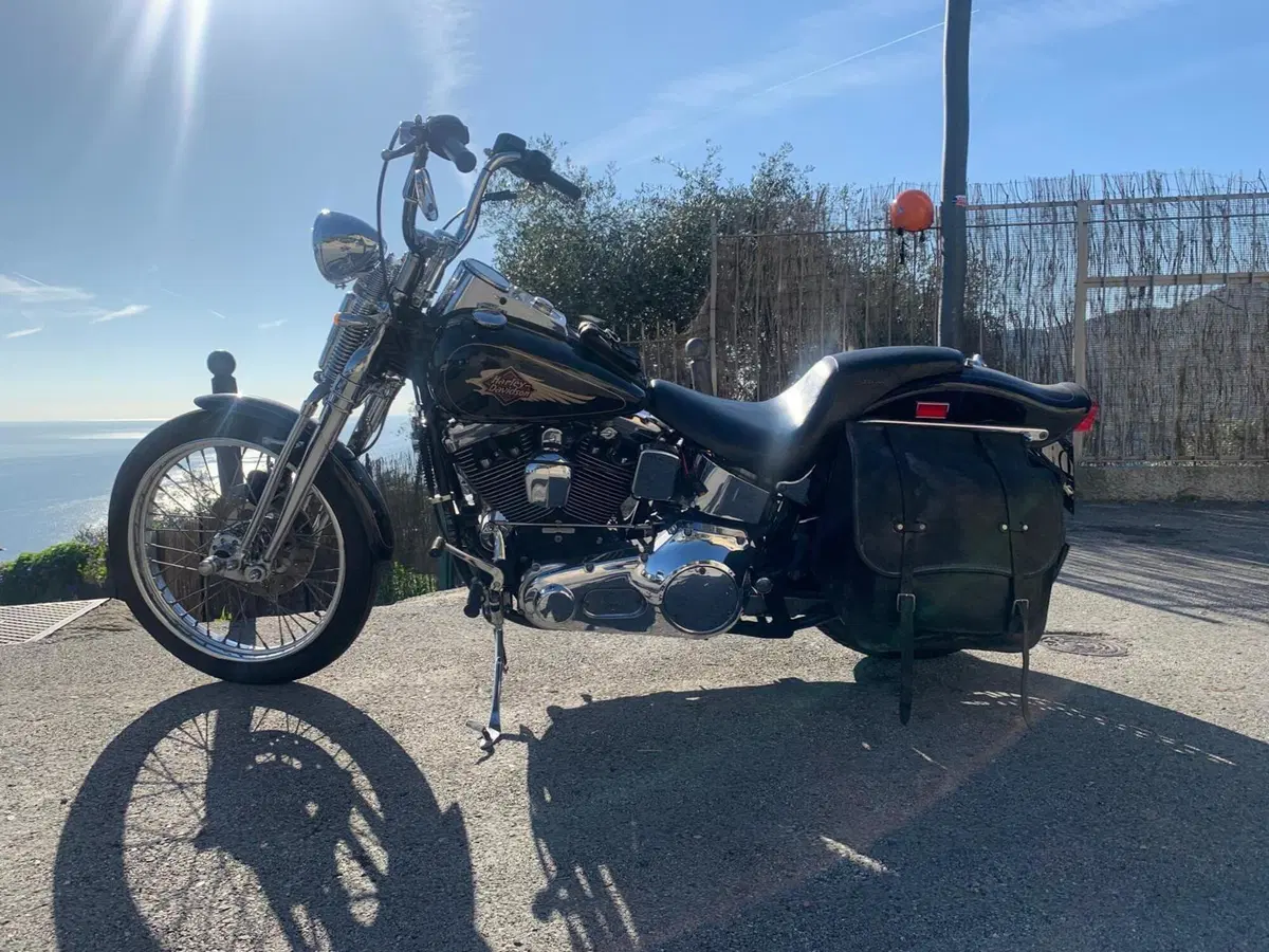 Harley-Davidson 1340 Springer (1990 - 98) - FXSTS (2)