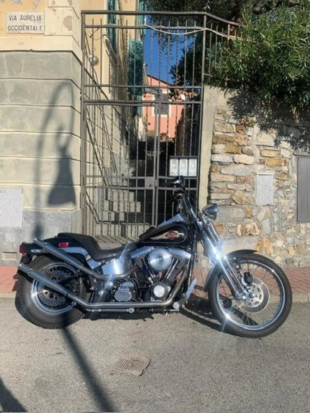 Harley-Davidson 1340 Springer (1990 - 98) - FXSTS (3)