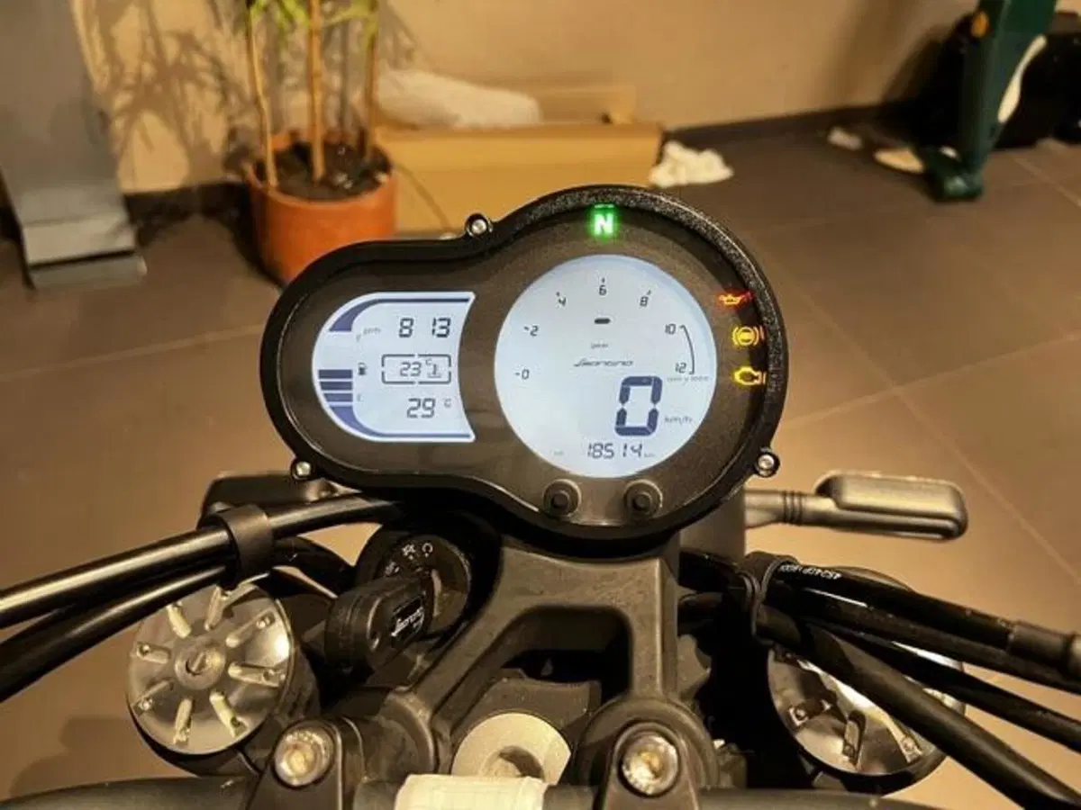 Benelli Leoncino 500 (2021 - 25) (5)