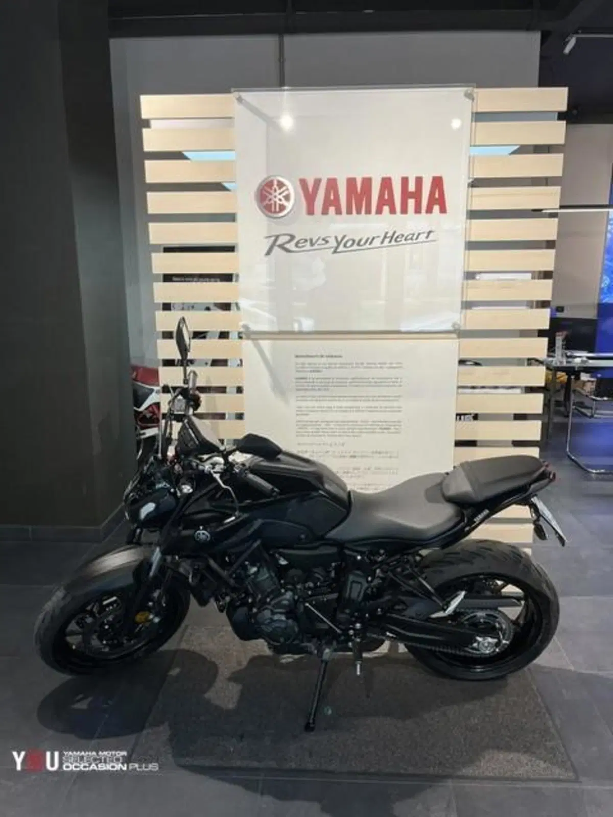 Yamaha MT-07 (2021 - 24) (3)