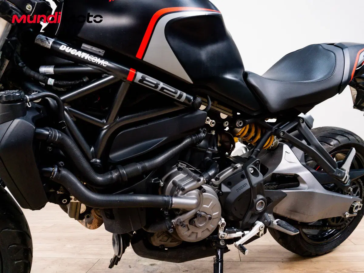 Ducati Monster 821 (2018 - 20) (9)