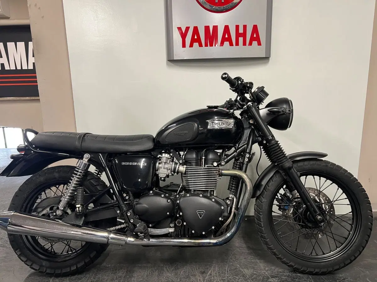 Triumph Bonneville T100 (2008 - 16)