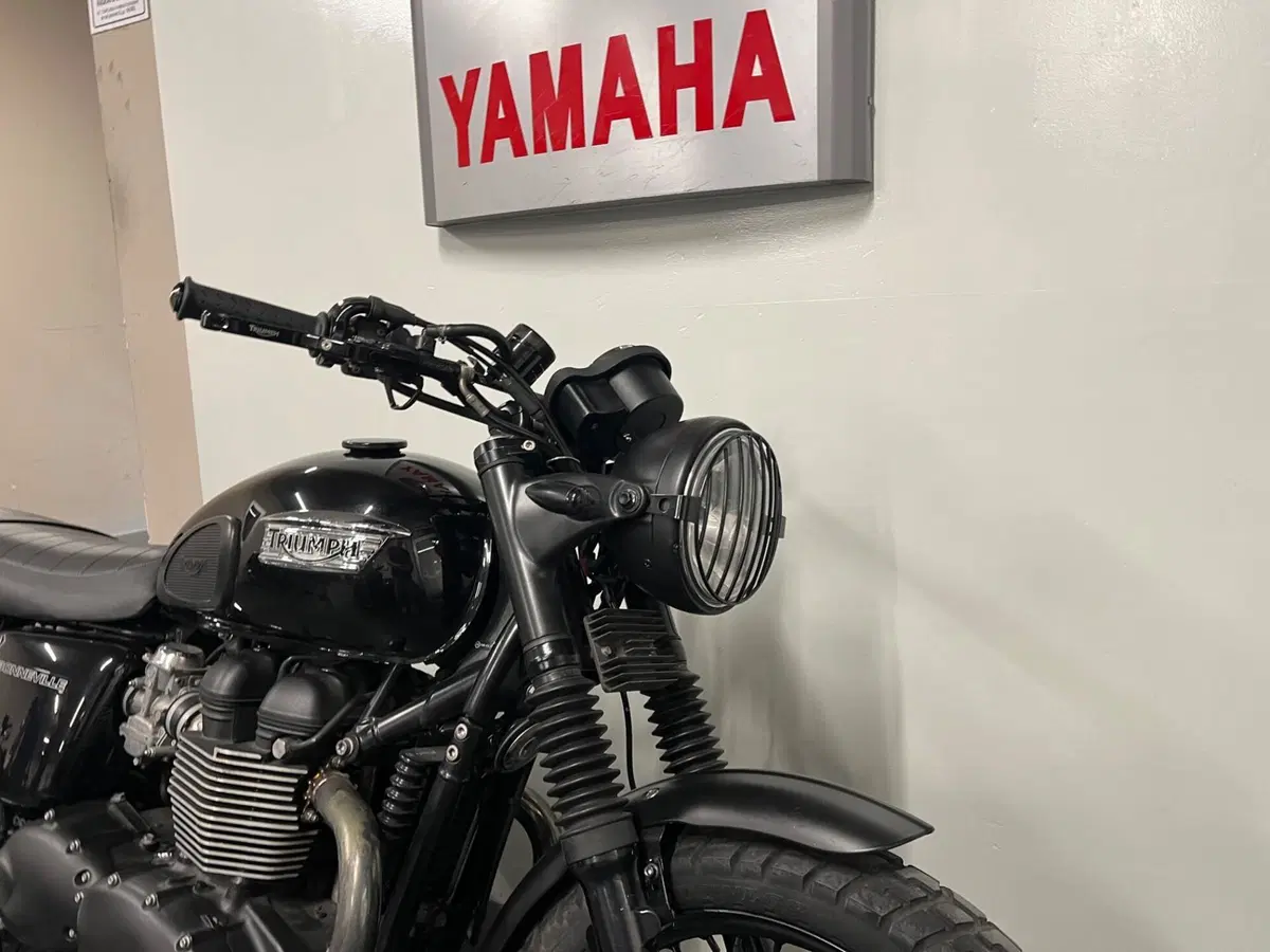 Triumph Bonneville T100 (2008 - 16) (2)