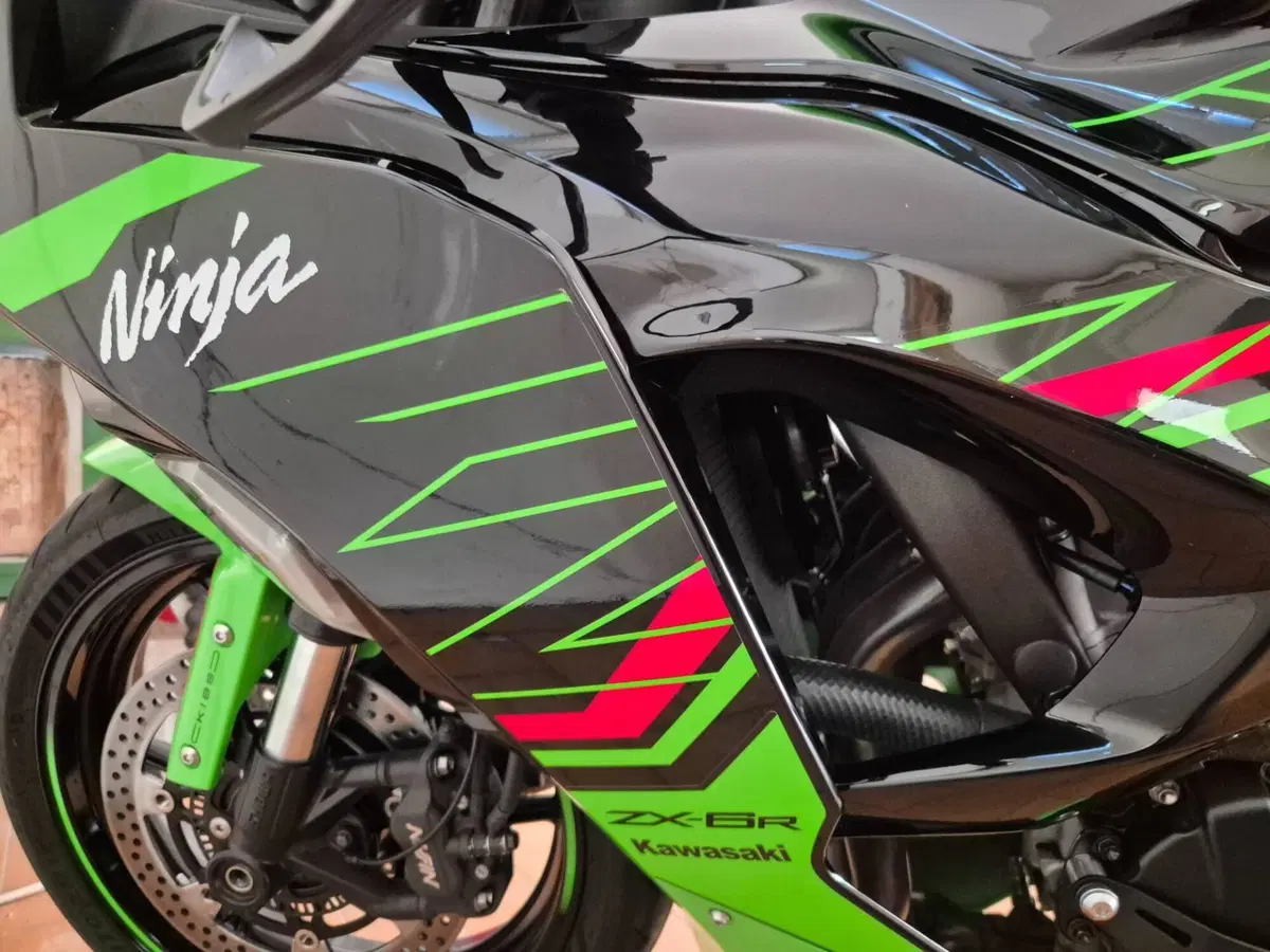 Kawasaki Ninja 636 ZX-6R Performance (2025 - 26) (5)