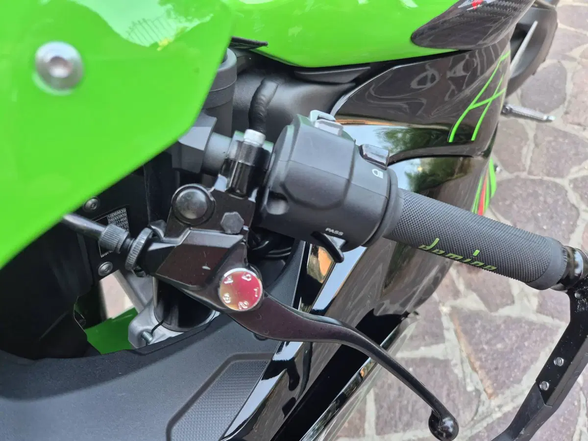 Kawasaki Ninja 636 ZX-6R Performance (2025 - 26) (9)