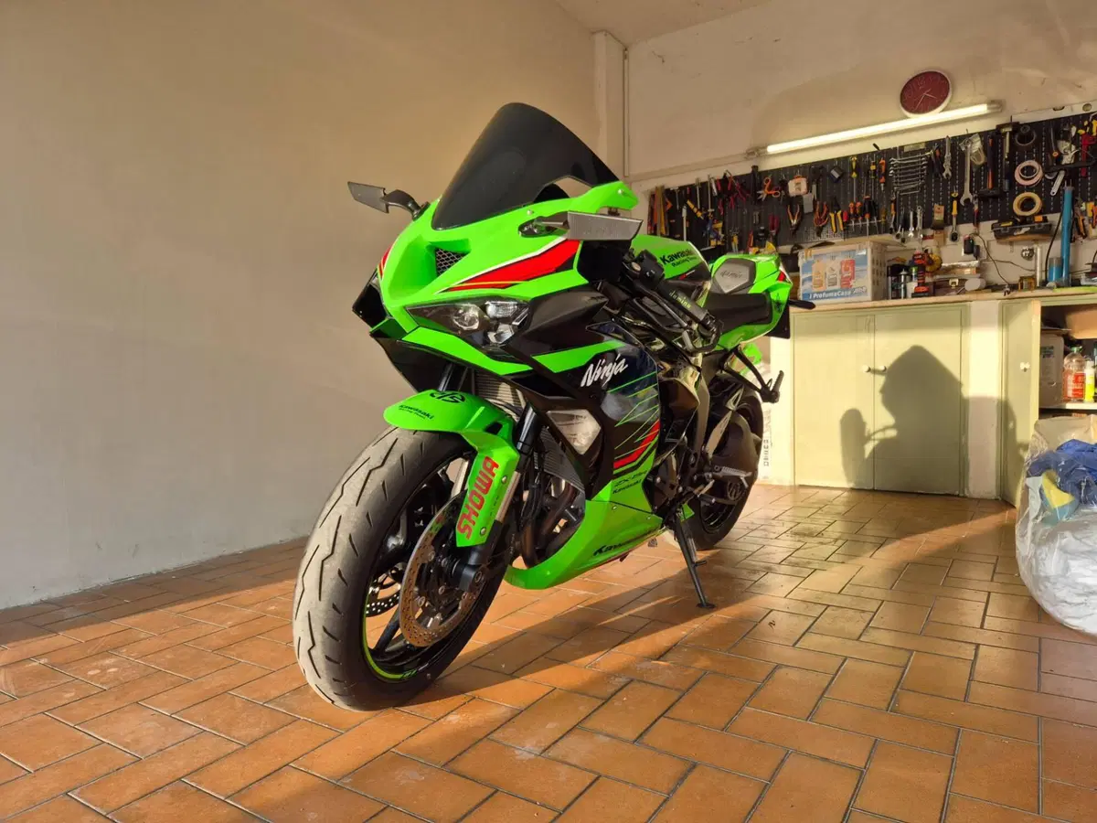 Kawasaki Ninja 636 ZX-6R Performance (2025 - 26)