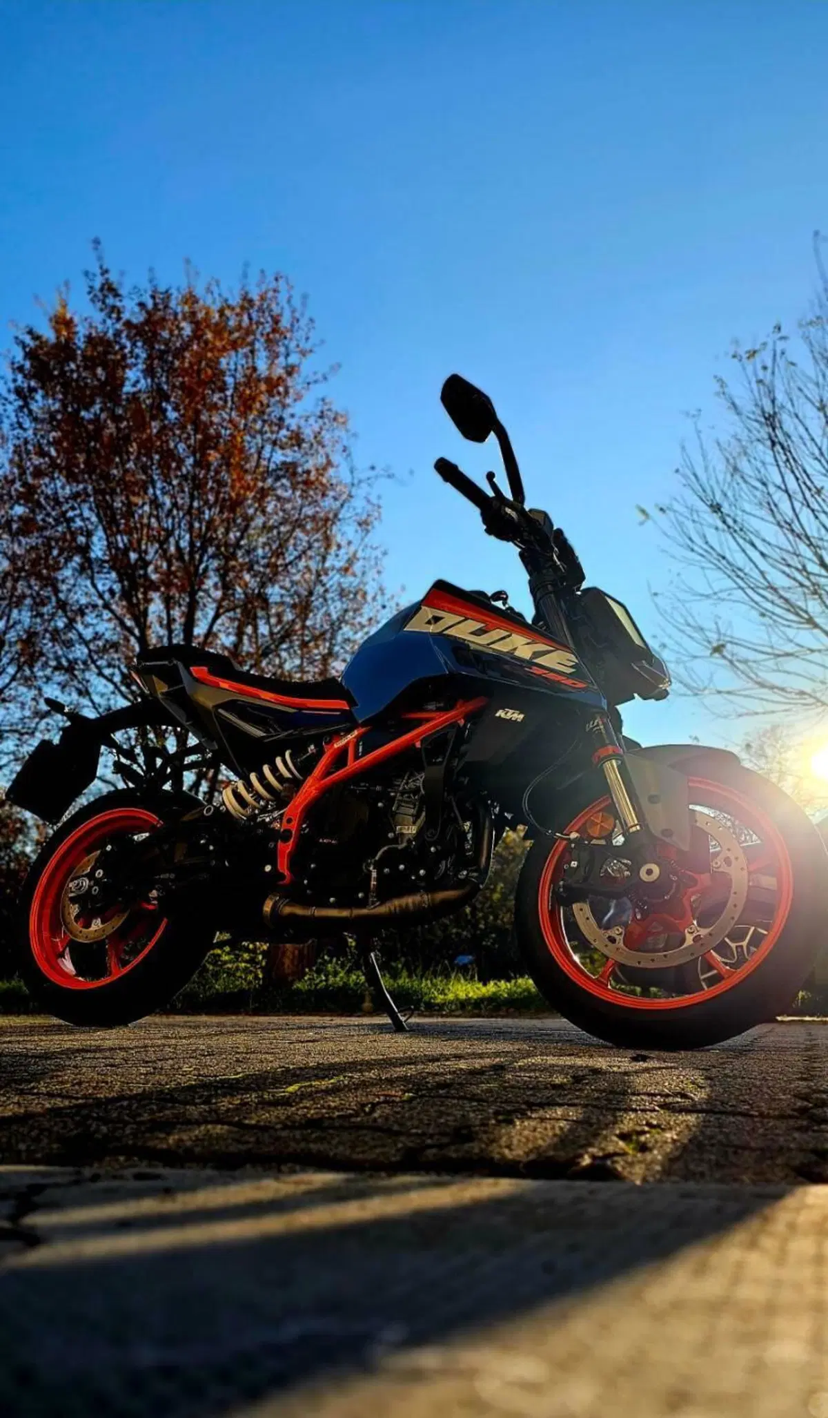 KTM 390 Duke (2024 - 25) (6)