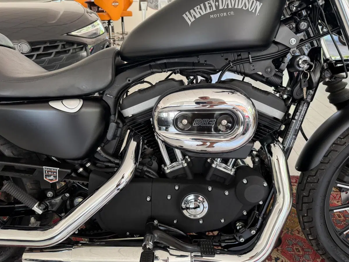 Harley-Davidson 883 Iron (2012 - 14) - XL 883N (6)
