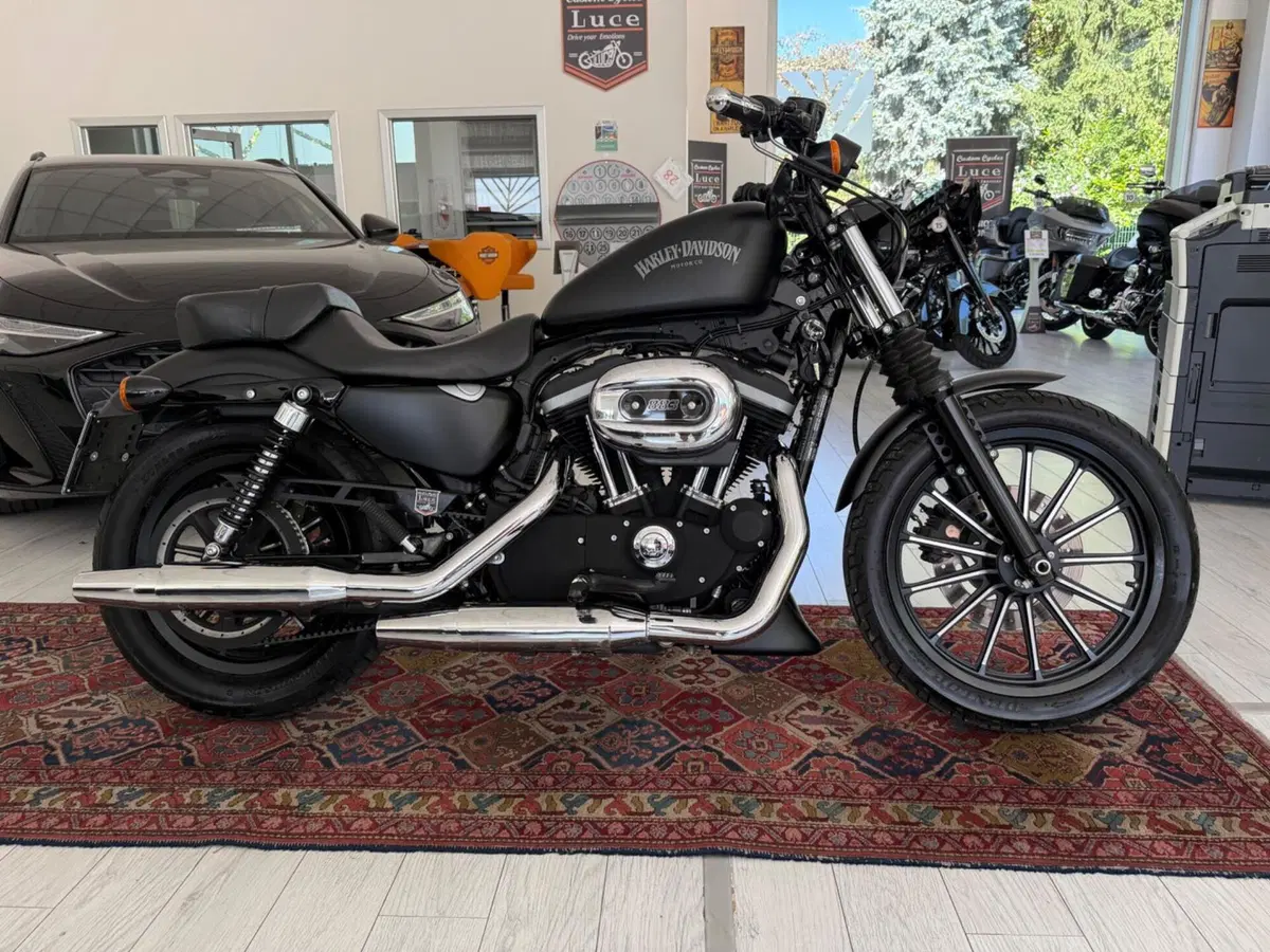 Harley-Davidson 883 Iron (2012 - 14) - XL 883N (2)