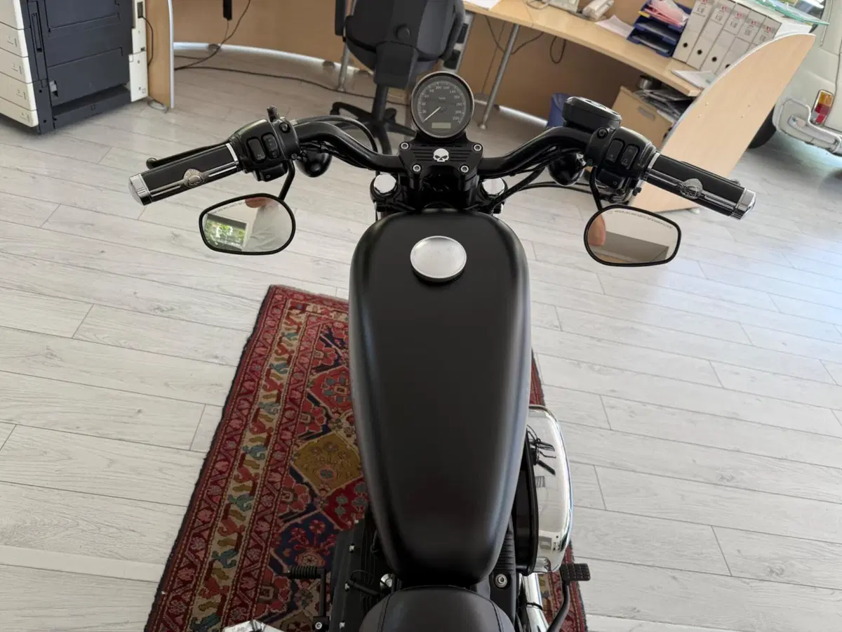 Harley-Davidson 883 Iron (2012 - 14) - XL 883N (8)