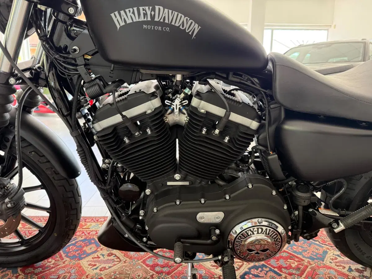 Harley-Davidson 883 Iron (2012 - 14) - XL 883N (7)