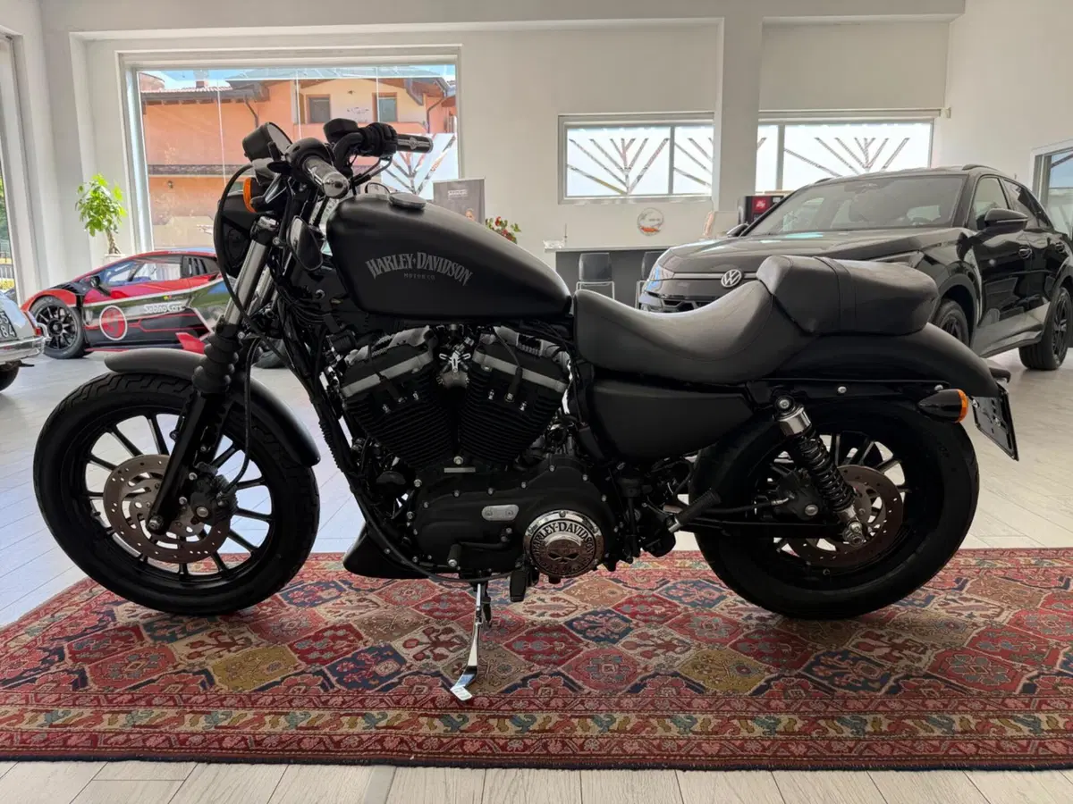 Harley-Davidson 883 Iron (2012 - 14) - XL 883N (3)