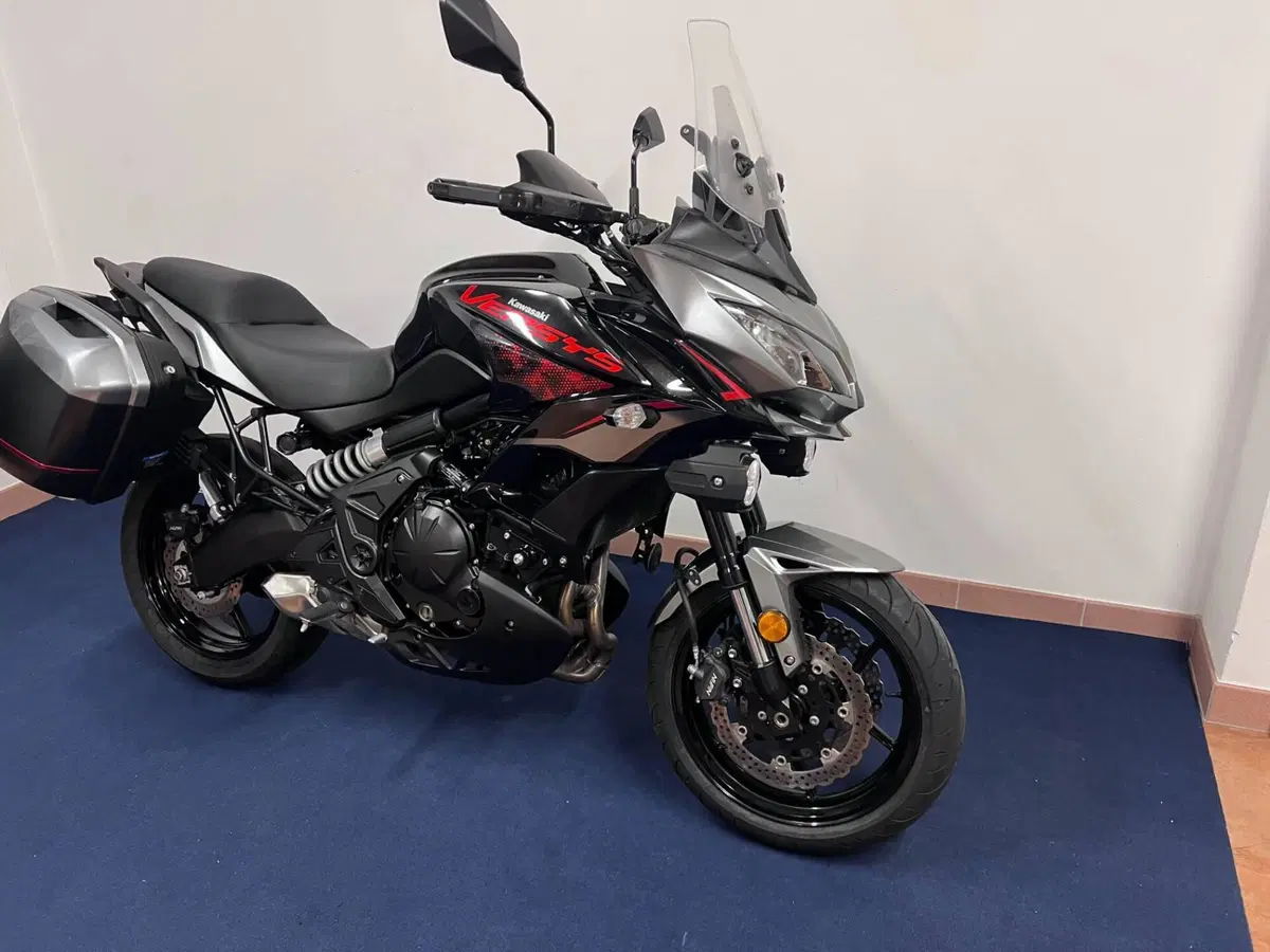 Kawasaki Versys 650 Grand Tourer (2021) (4)