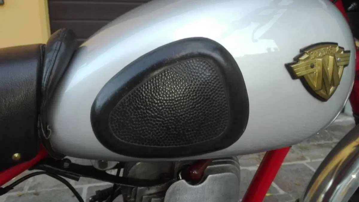 Maico 250 CROSS 1957 (12)