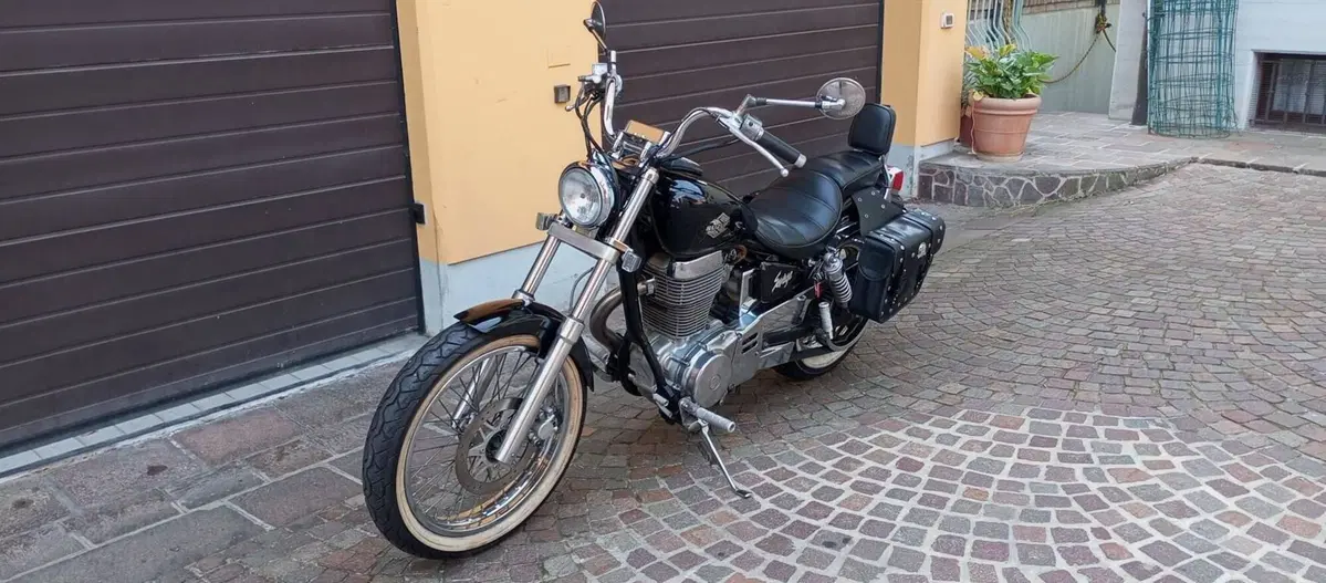 Suzuki SAVAGE 650 (19)