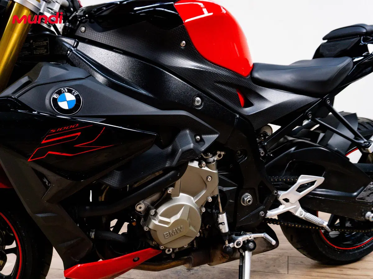 Bmw S 1000 R (2014 - 16) (9)