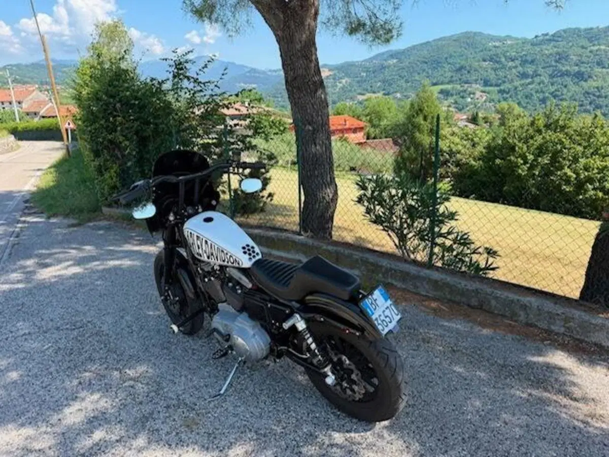Harley-Davidson 1200 Sport (1996 - 00) - XL 1200S (7)