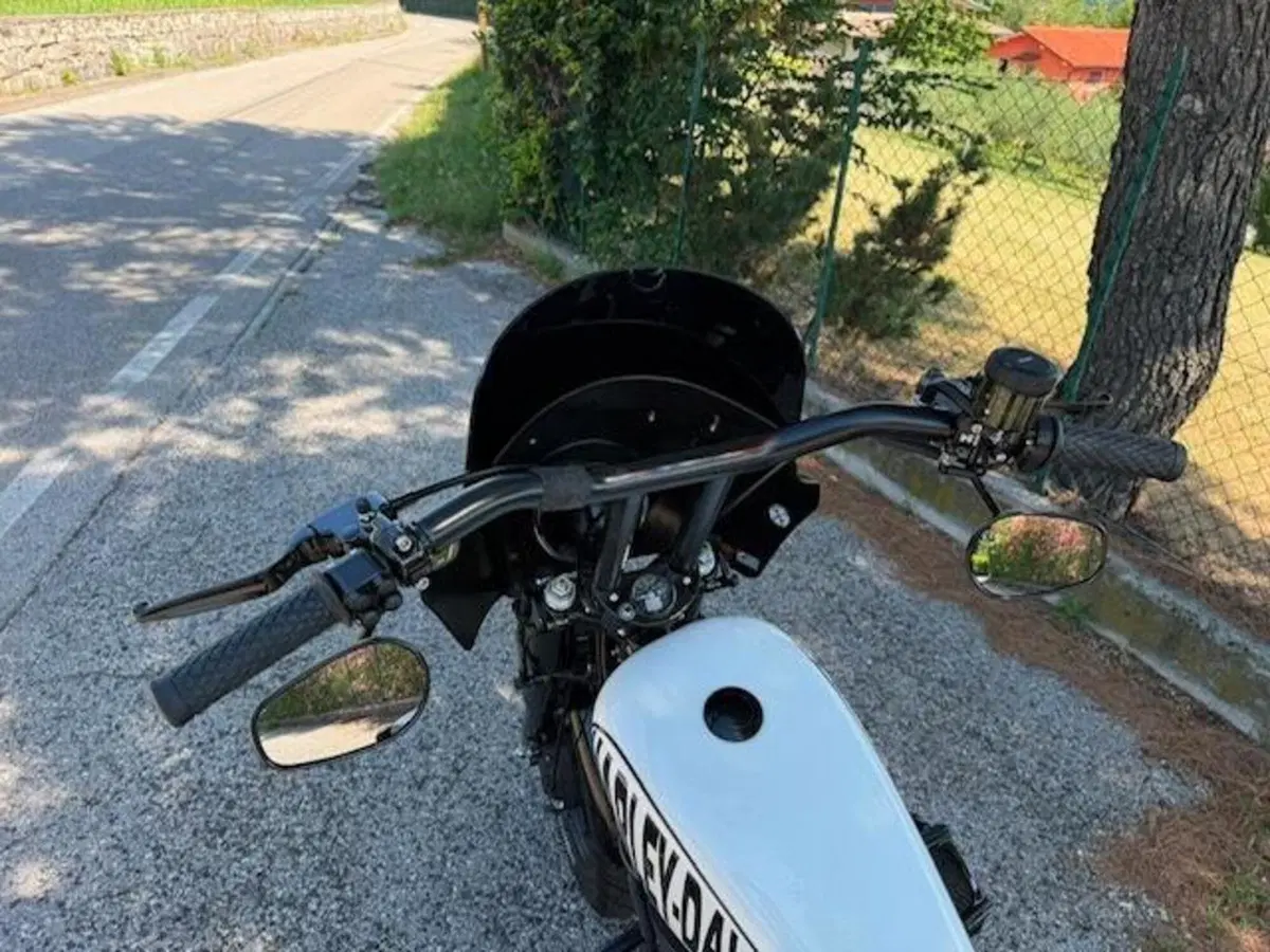 Harley-Davidson 1200 Sport (1996 - 00) - XL 1200S (13)