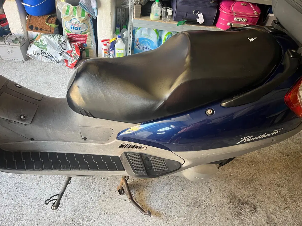 Honda Pantheon 125 (1998 - 02) (13)