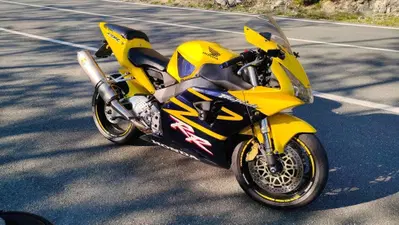 Honda CBR 900 RR Fireblade (2002 - 04) usata