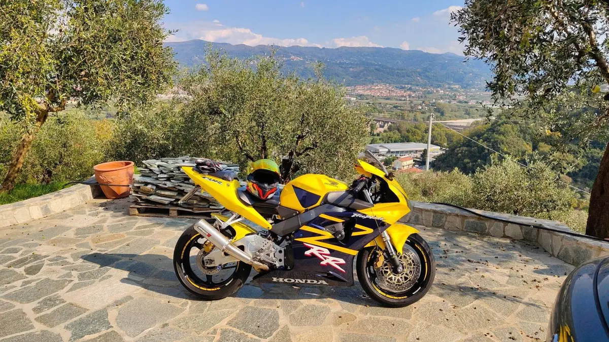 Honda CBR 900 RR Fireblade (2002 - 04) (3)