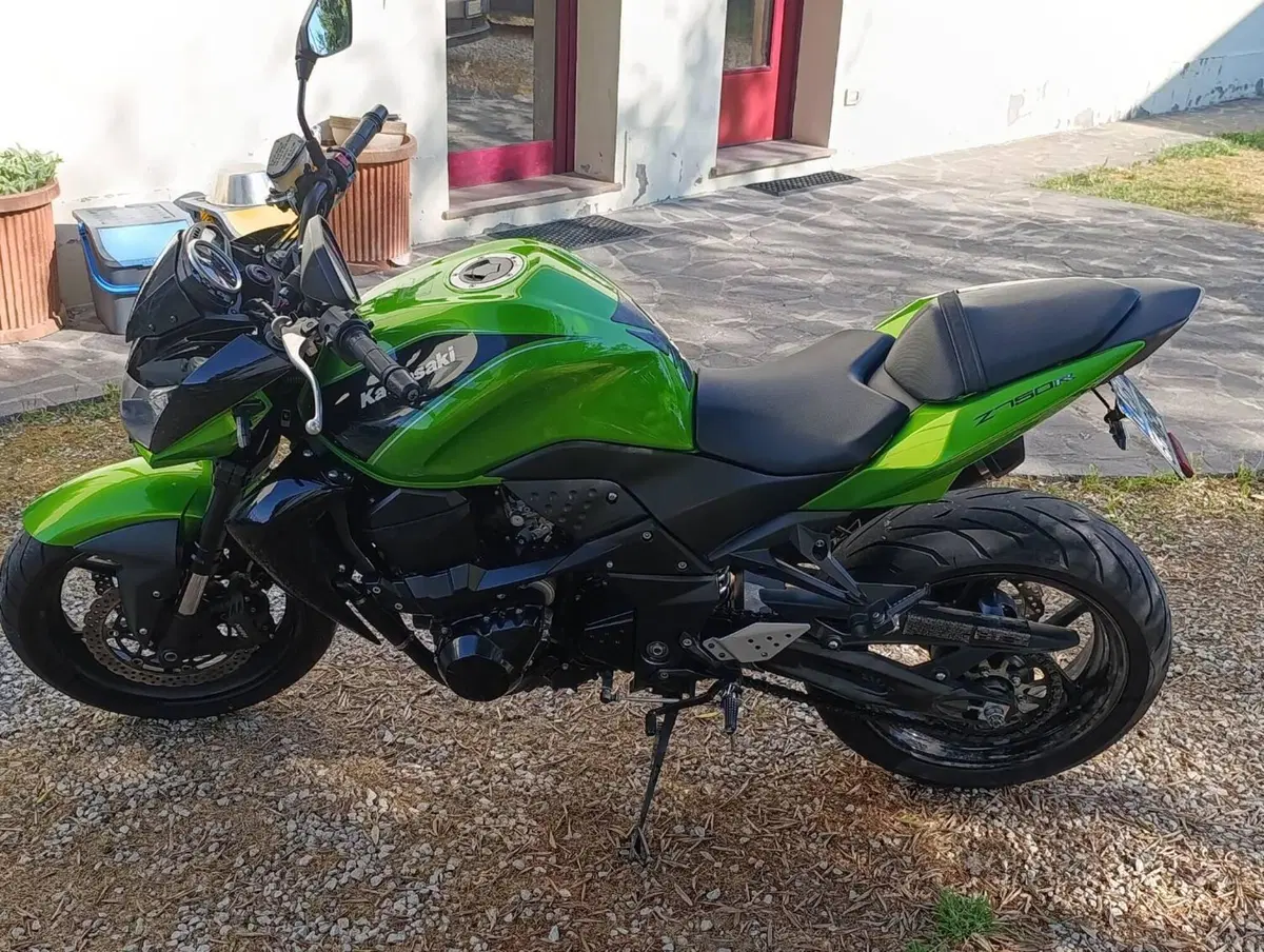 Kawasaki Z 750 R (2011 - 14) (4)