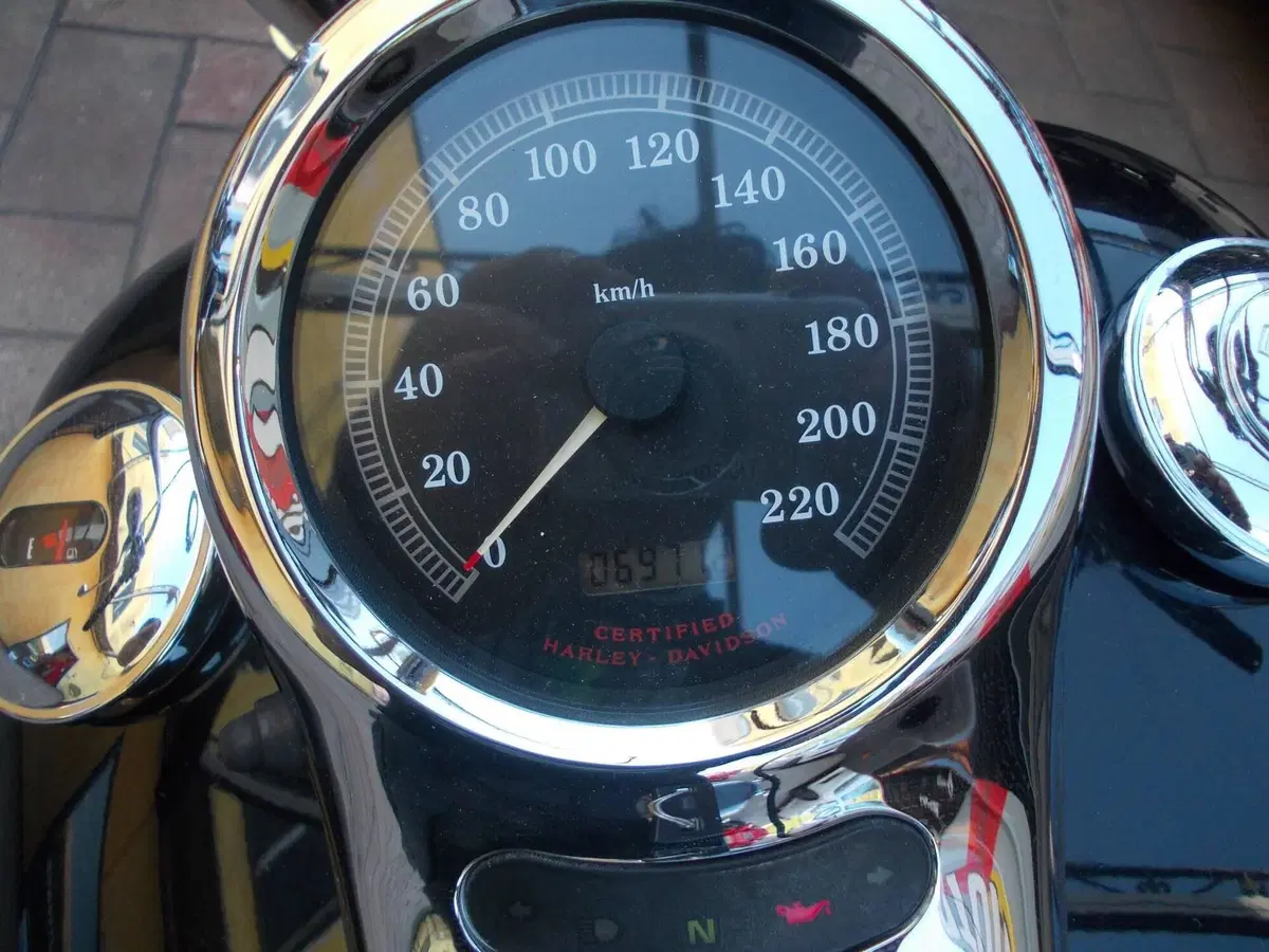 Harley-Davidson 1450 Softail Deuce (1999 - 2001) (8)