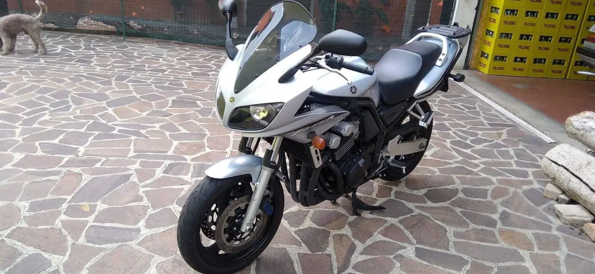 Yamaha FZS 600 Fazer (2002 - 03) (4)