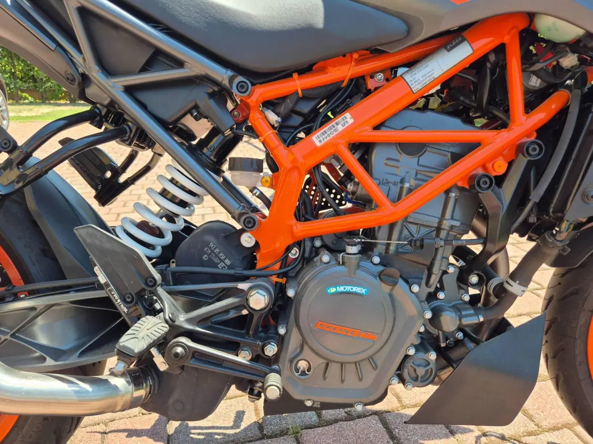 KTM 125 Duke (2024 - 25) (5)