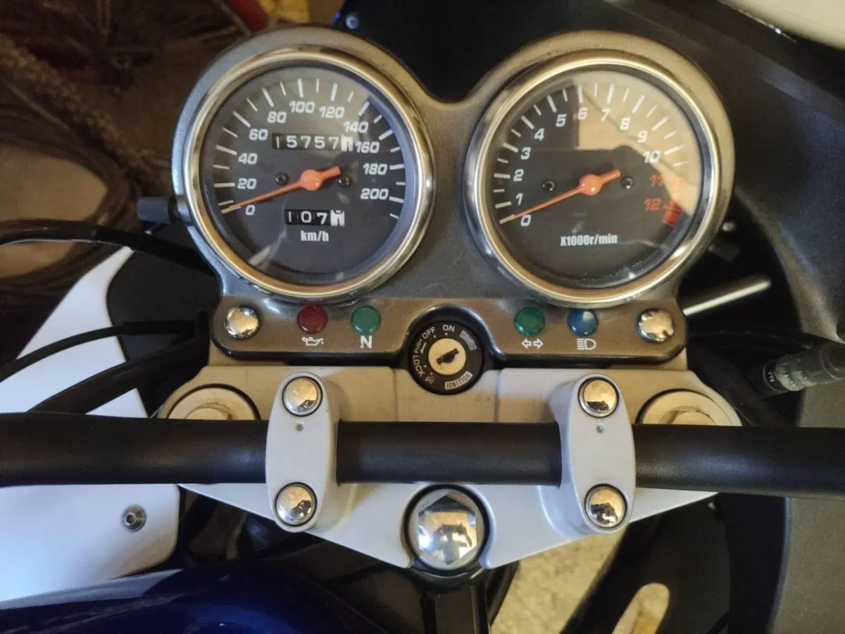 Suzuki GS 500 F (2004 - 06) (5)