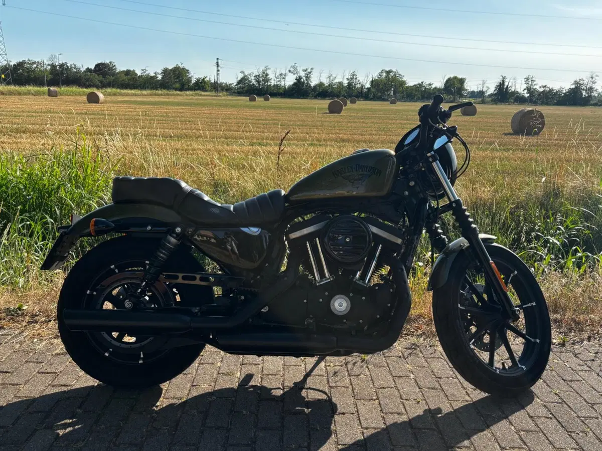Harley-Davidson 883 Iron (2014 - 16) - XL 883N