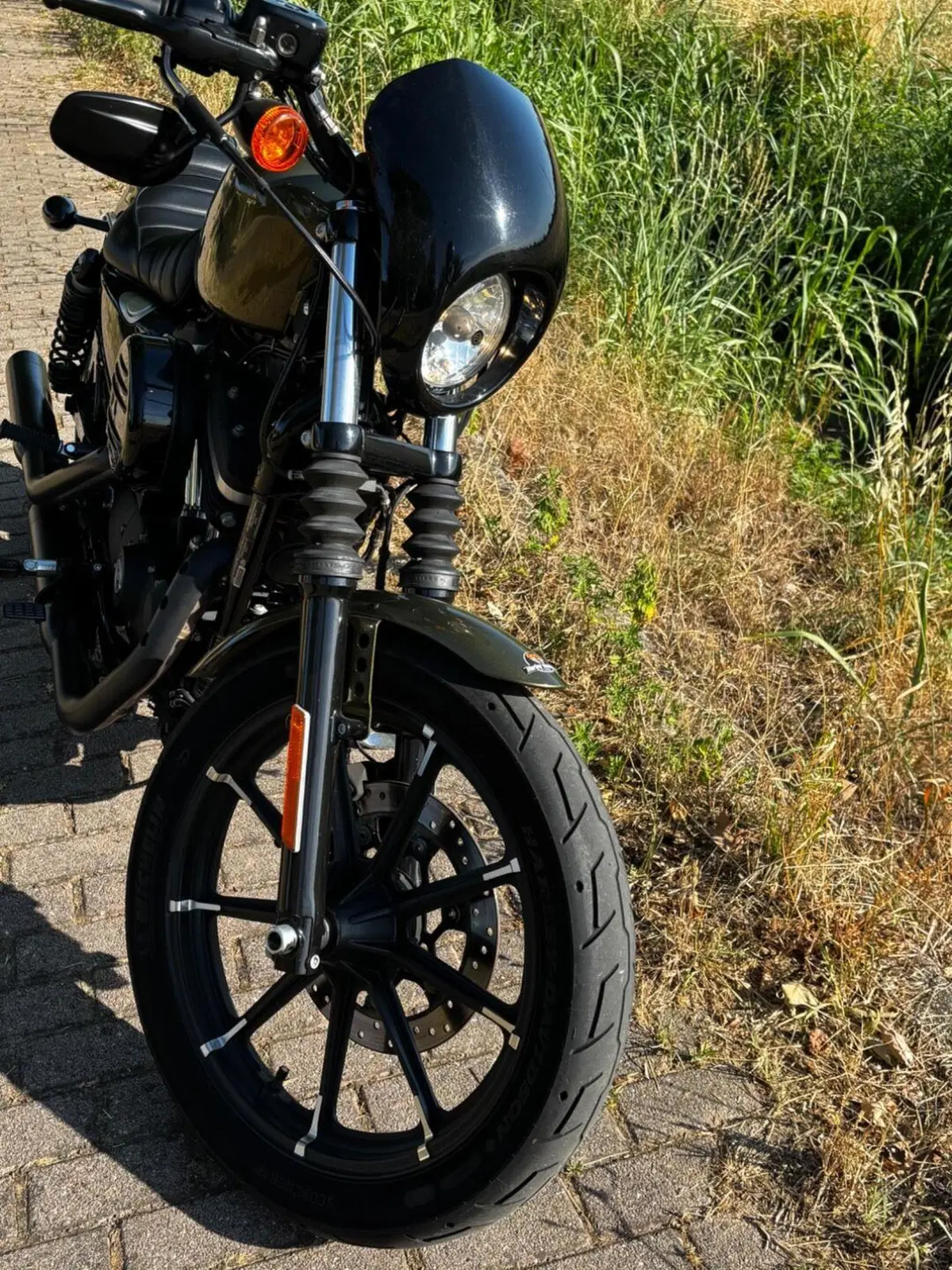 Harley-Davidson 883 Iron (2014 - 16) - XL 883N (4)