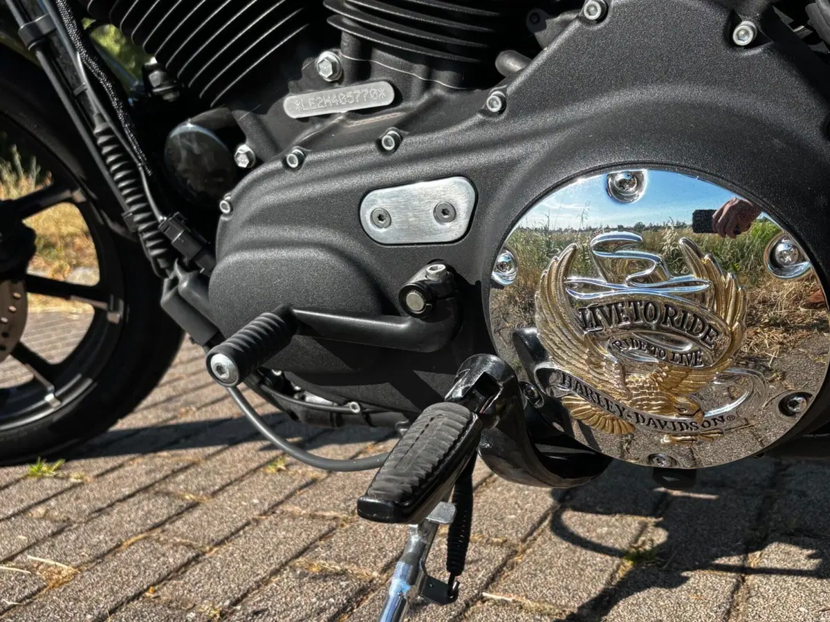 Harley-Davidson 883 Iron (2014 - 16) - XL 883N (5)