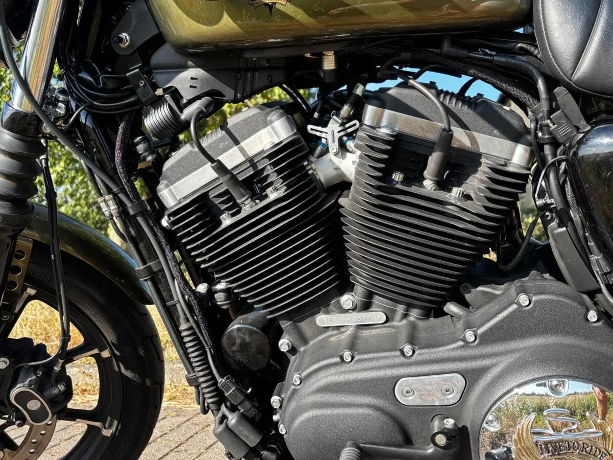 Harley-Davidson 883 Iron (2014 - 16) - XL 883N (6)