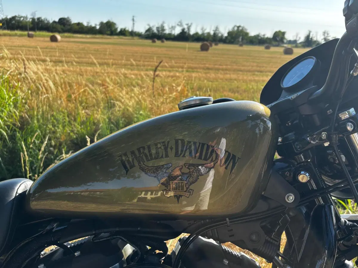 Harley-Davidson 883 Iron (2014 - 16) - XL 883N (8)