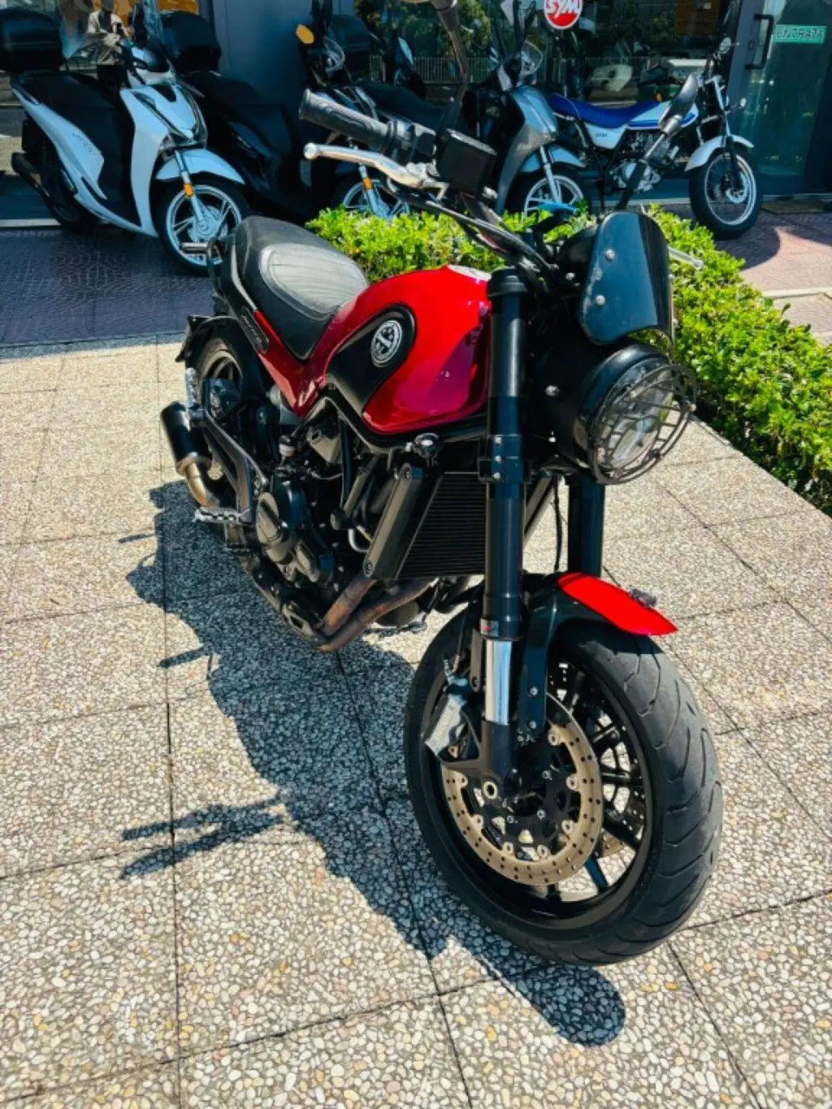 Benelli Leoncino 500 Sport (2017) (8)