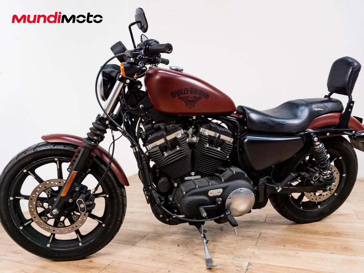Harley-Davidson 883 Standard (2001 - 05) - XL 883 (8)