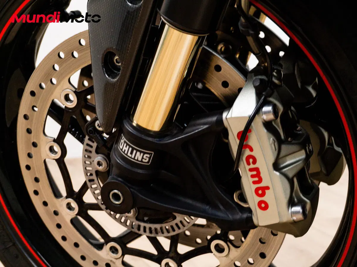 Triumph Speed Triple 1050 RS (2018 - 20) (13)