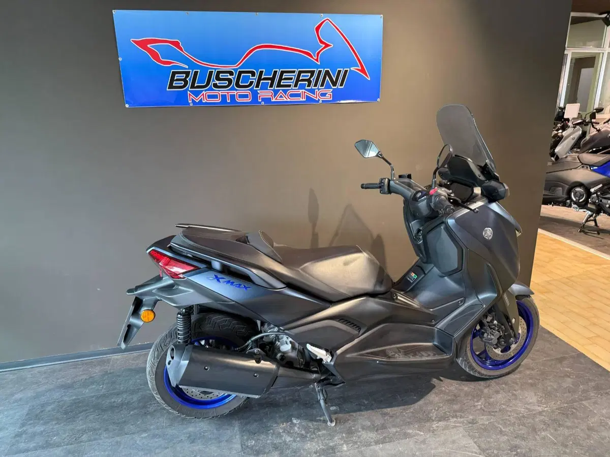 Yamaha X-Max 300 (2021 - 24) (7)
