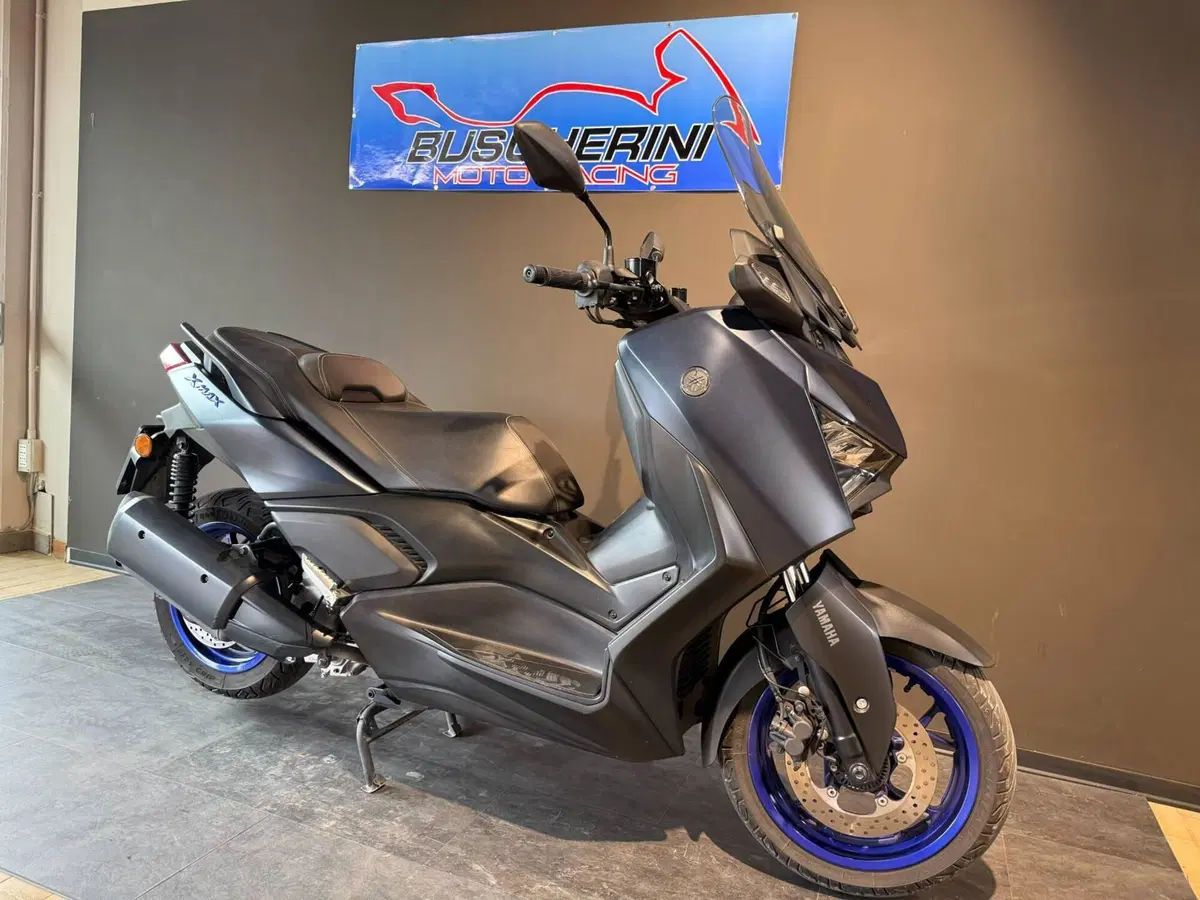 Yamaha X-Max 300 (2021 - 24) (9)