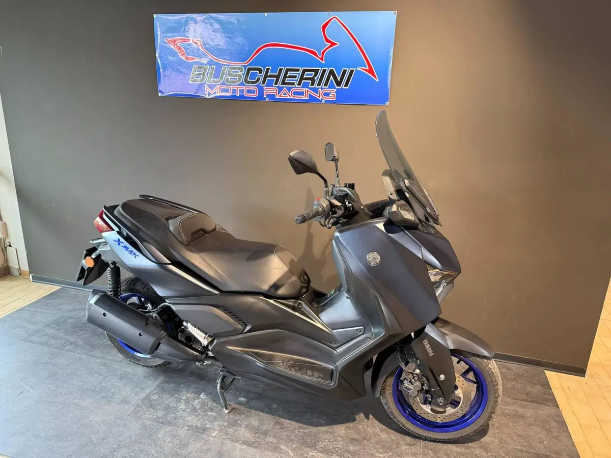 Yamaha X-Max 300 (2021 - 24) (10)