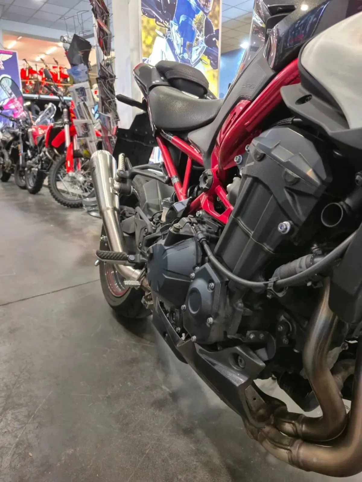 Kawasaki Z 900 (2021 - 24) (6)